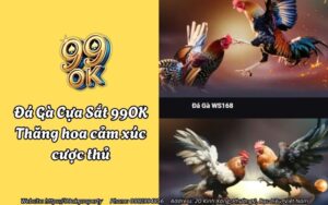 da ga cua sat 99ok