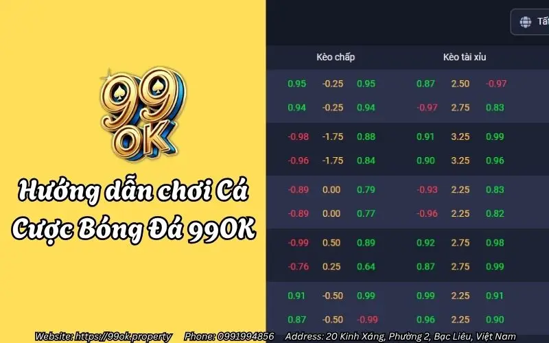 Cá Cược Bóng Đá 99OK – Thắng thật mỗi ngày, vui trọn đam mê 3 Hướng dẫn chơi Cá Cược Bóng Đá 99OK chi tiết dành cho anh em